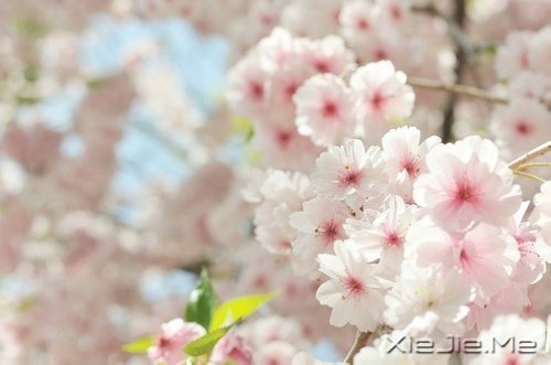 一个人怕孤独,两个人怕辜负 (3)